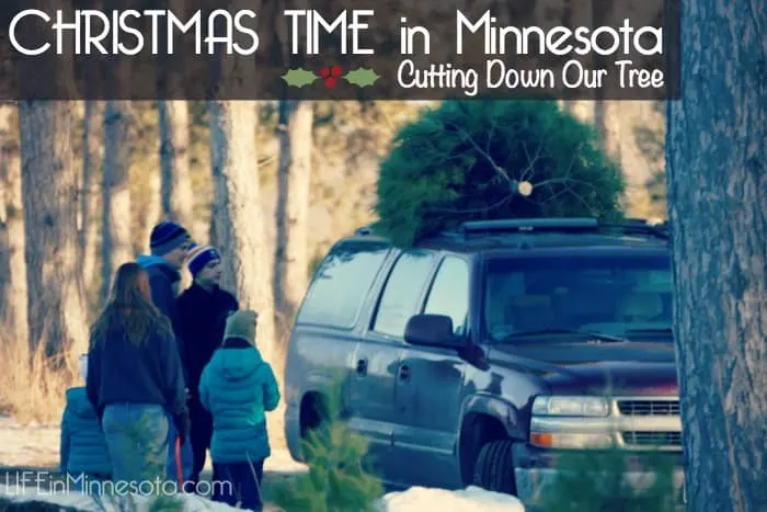 life in mn blog