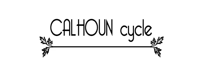 calhoun cycle uptown minneapolis bike shop supplies 2014 life in mn blog
