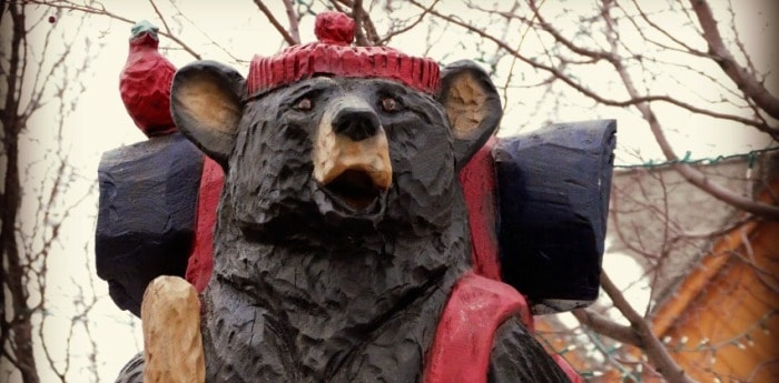 camping bear beyond the tent fb mn bloggers