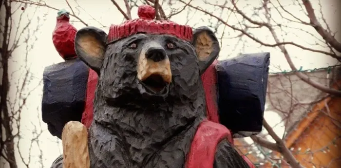 camping bear beyond the tent fb mn bloggers
