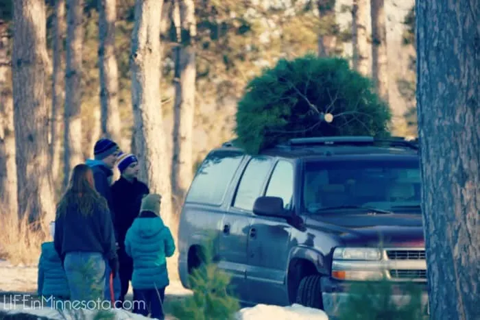 christmas tree truck art nature cutting down diy 2014 hansen farm life in minnesota blog