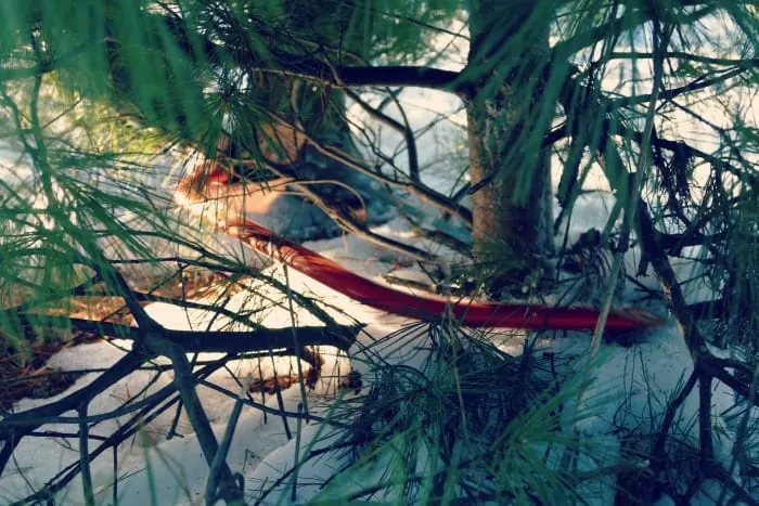 cutting the tree christmas 2014