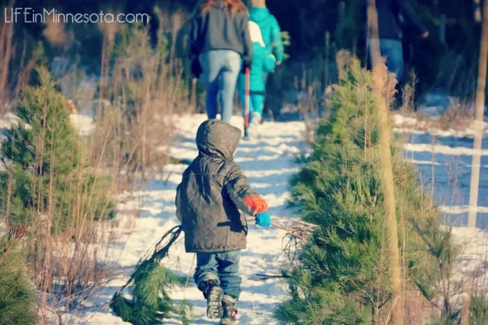 hiking hunt christmas tree farm ramsey mn 2014 family fun winter
