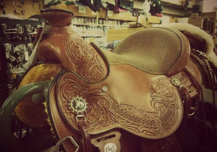 saddle-store-rogers-life-in-minnesota-blog-horseback-riding-gifts-idea-2014.