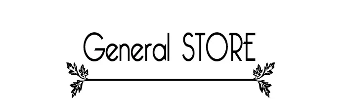 the general store minnetonka mn hours christmas shop ideas gifts life in mn blog 2014