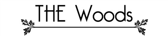 the woods store christmas shopping gifts ideas mn