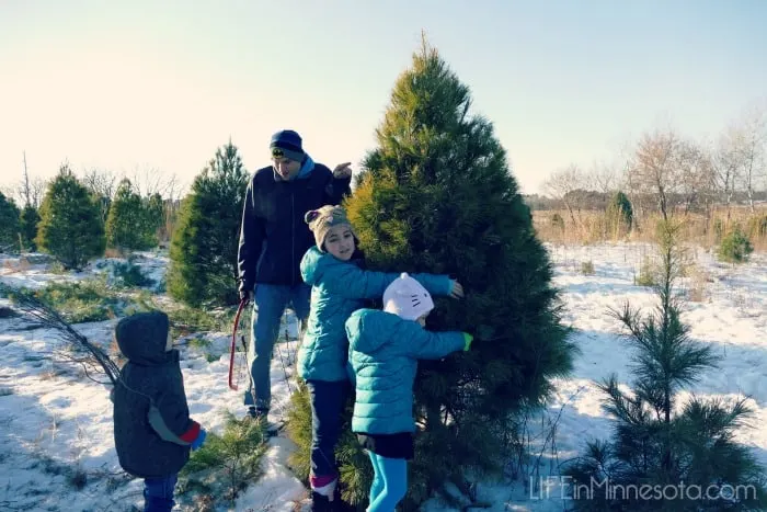 what size christmas tree is best for a small living room