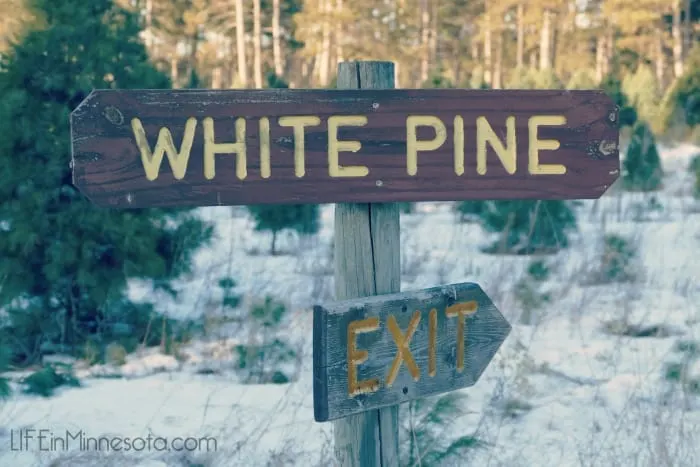 white pine exit wooden tree farm sign