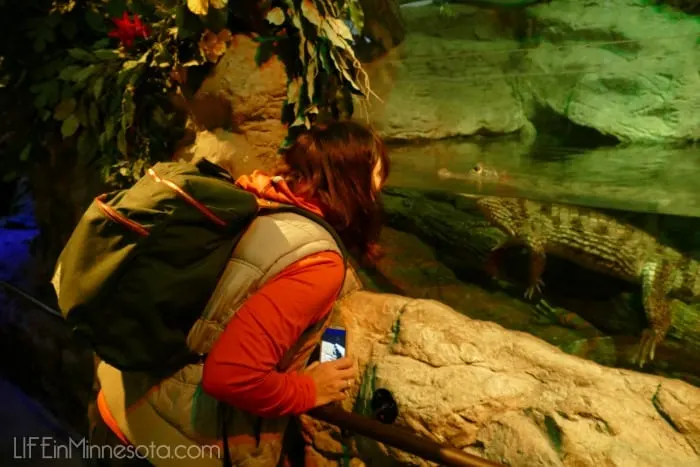 Don't feed the animals gator sea life mn review 2015 mn blog