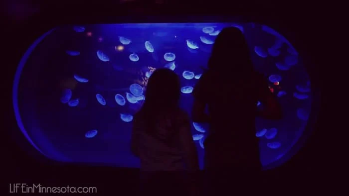 jelly fish sea life mall of america trip with kids underwater world 2015 life in minnesota blog