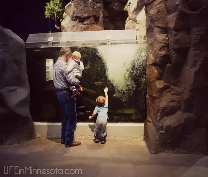 places to visit with kids in the winter duluth mn ideas 2015 review life in mn blog