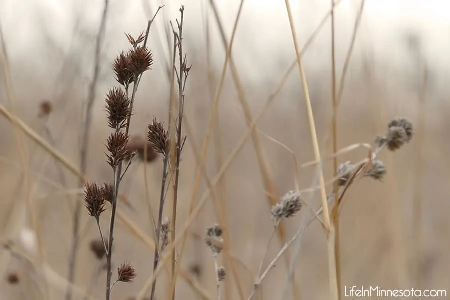 how to make outdoor photographs stand out more easy tips