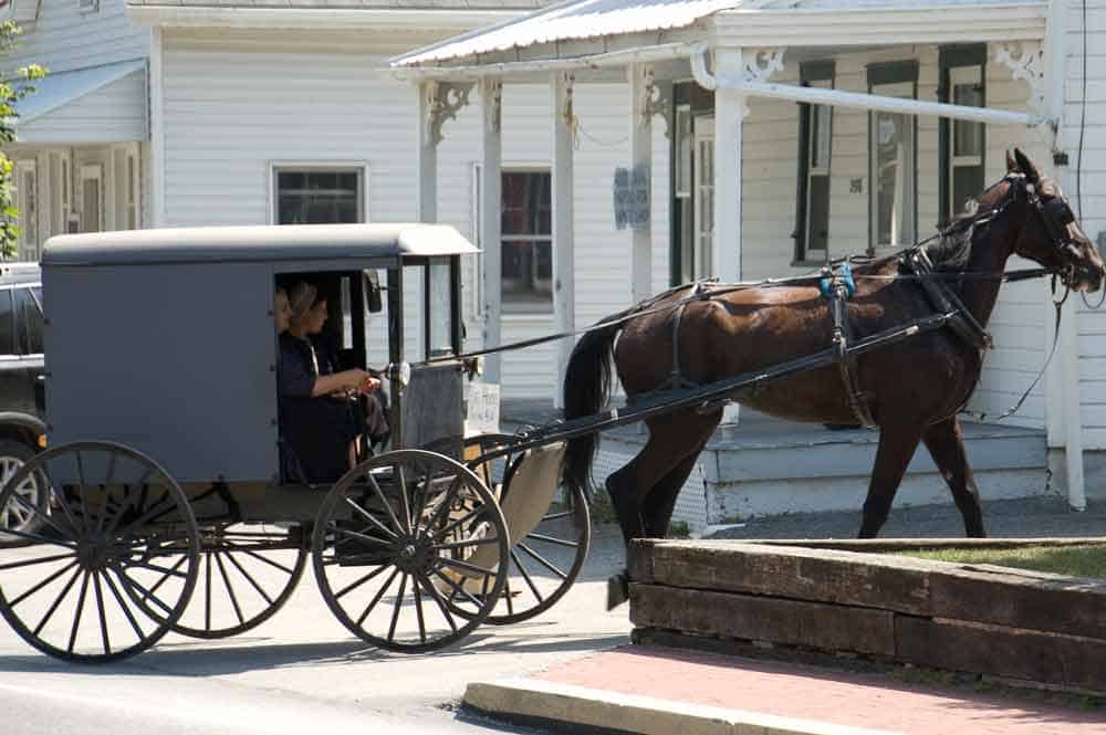 “Amish 5” by Alonso Javier Torres is licensed under CC BY 2.0