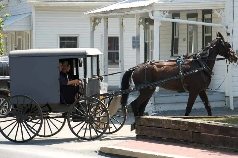 “Amish 5” by Alonso Javier Torres is licensed under CC BY 2.0