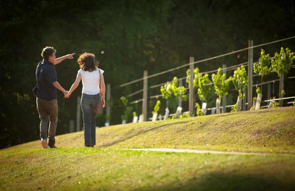 “wineries” by Daniela is licensed under CC BY 2.0