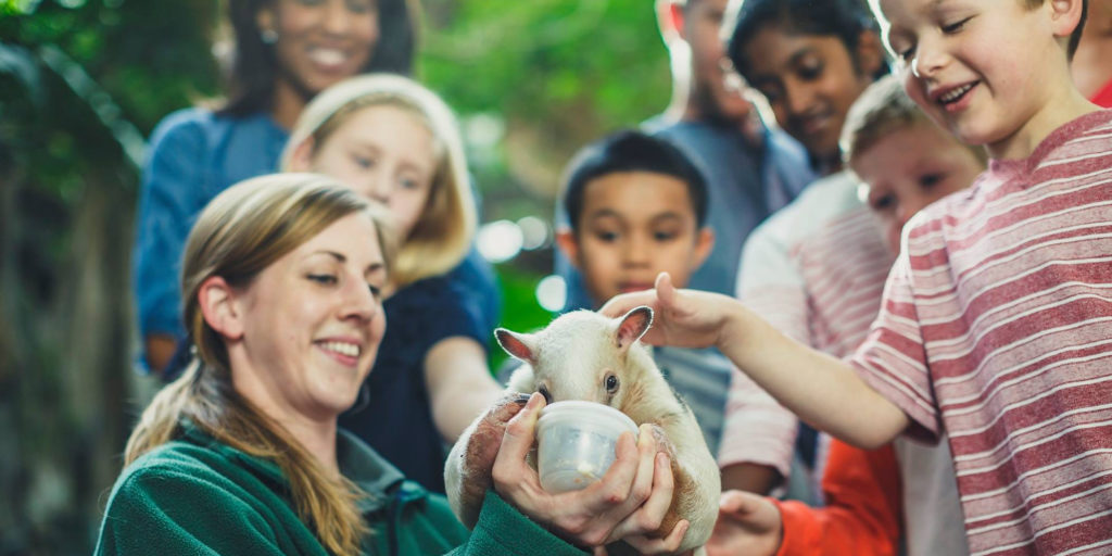 20 Fun Things To Do At The Minnesota Zoo