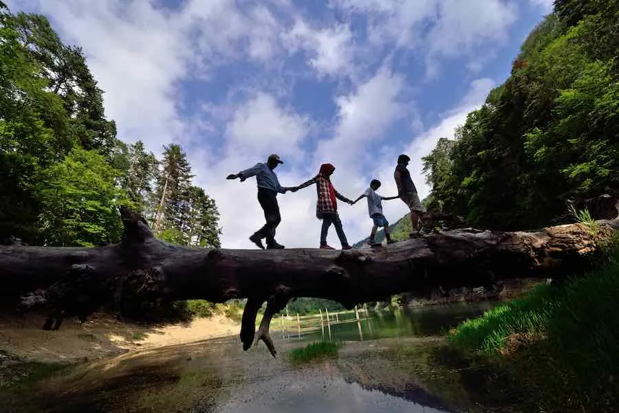 family walking on fallen tree in balance