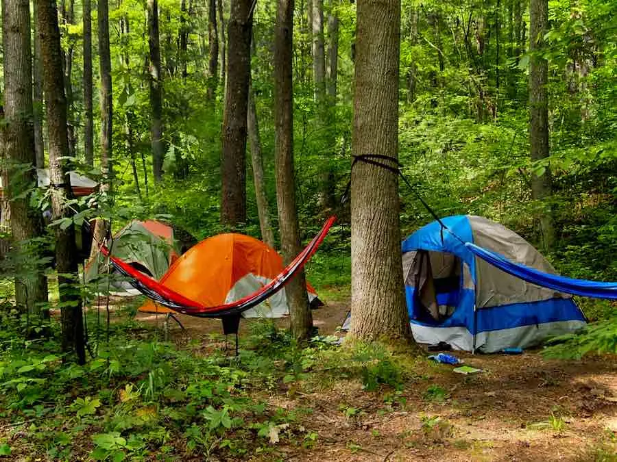 Minnesota Camping