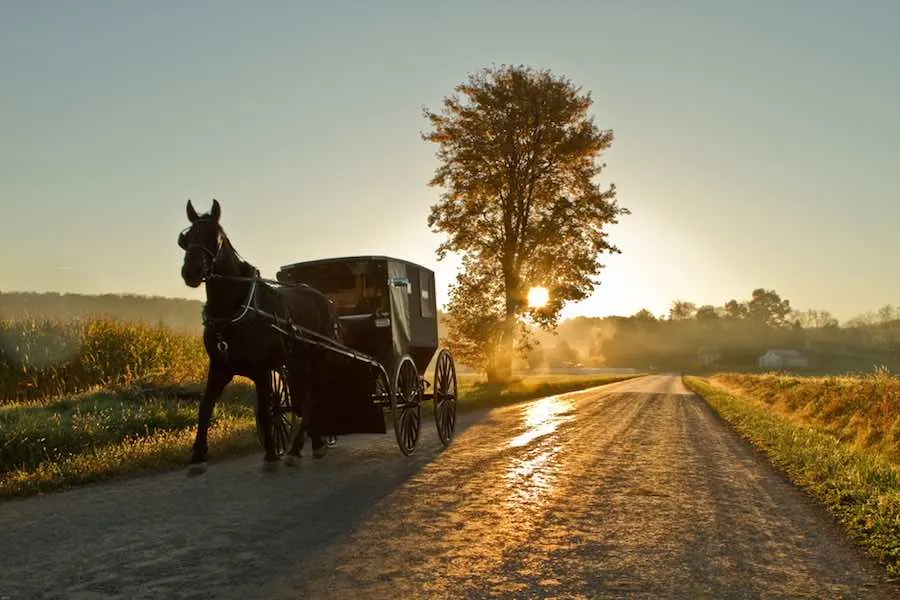 An Amish Horse and Buggy Seen on a Minnesota Day Trip