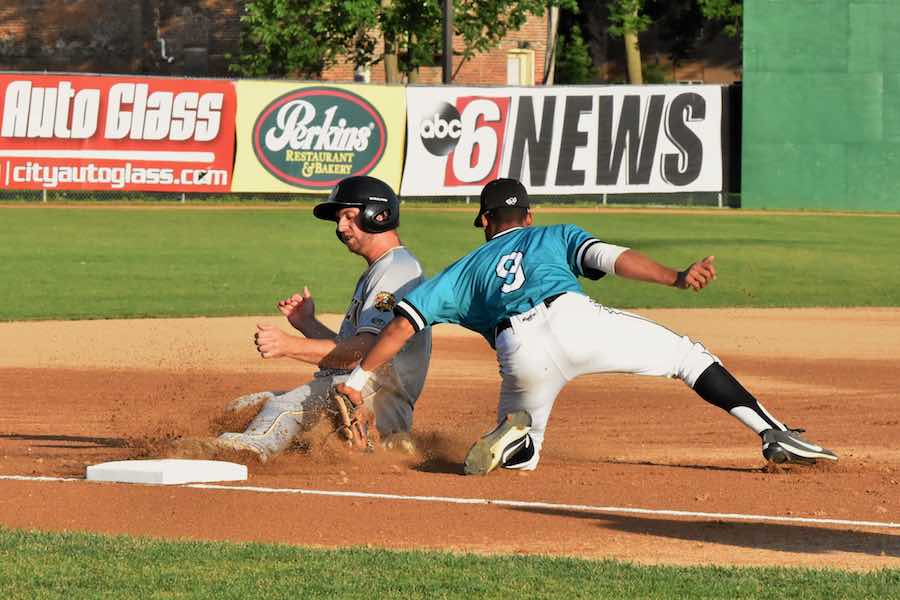 Rochester Honkers Baseball
