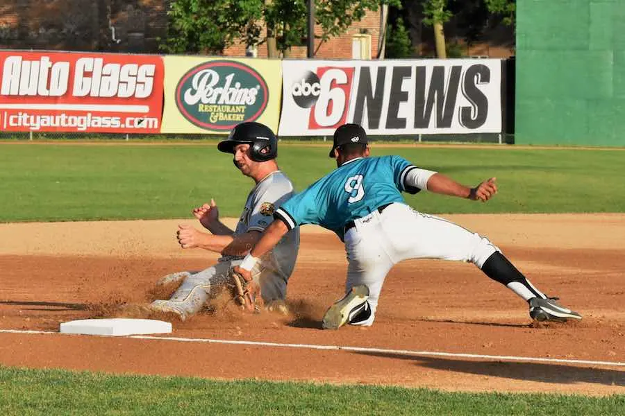 Rochester Honkers Baseball