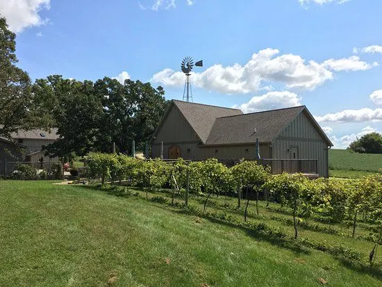 Things To Do In Rochester MN - Salem Glen Winery