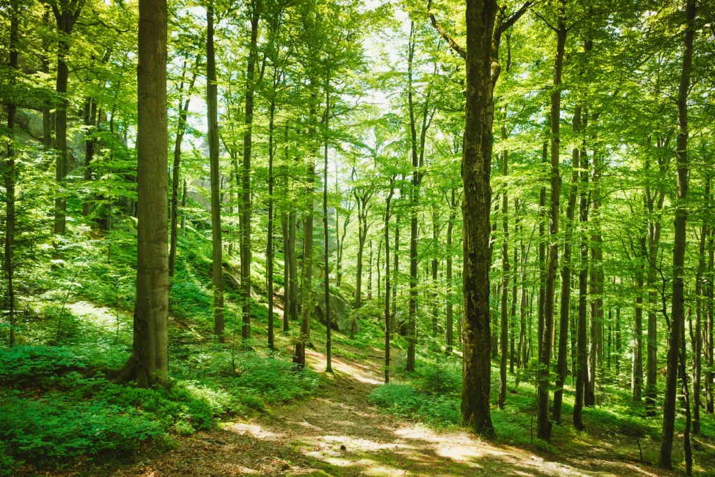 things to do in red wing mn 2019