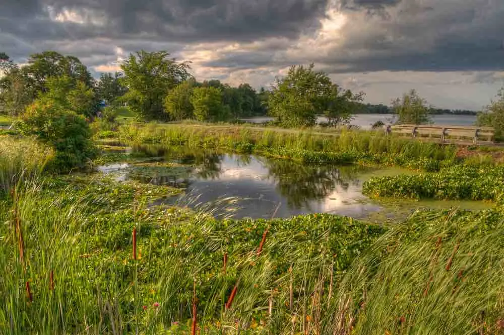 Explore almost a hundred ponds and lake in Bemidji MN at the Mississippi Headwaters State Forest.