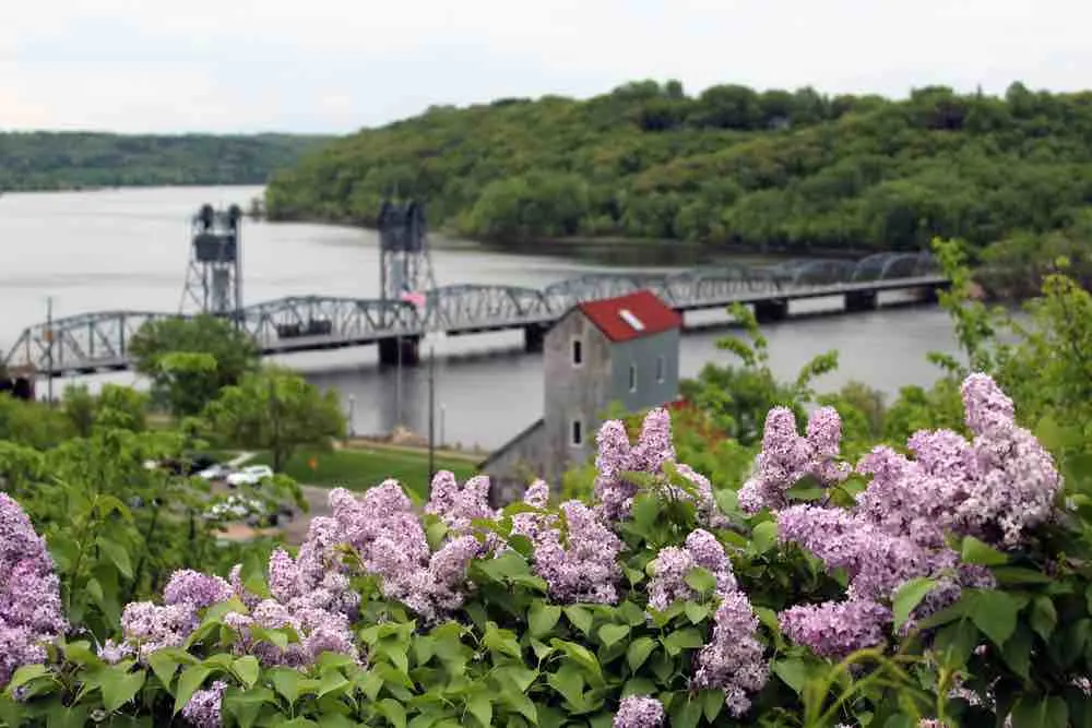 Springtime blossoms are at the top of the list for things to do in Stillwater MN for nature lovers.