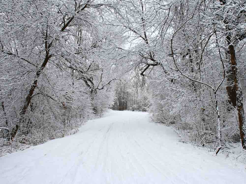 Learn to cross country ski as one of the things to do in Stillwater MN. 