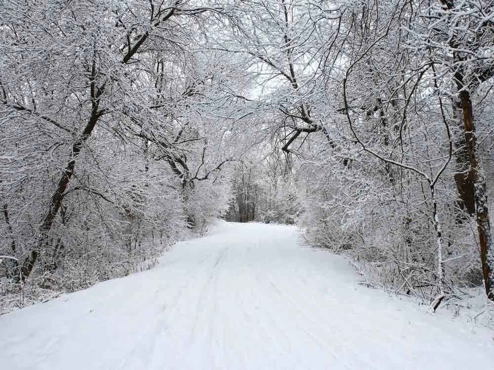Learn to cross country ski as one of the things to do in Stillwater MN.