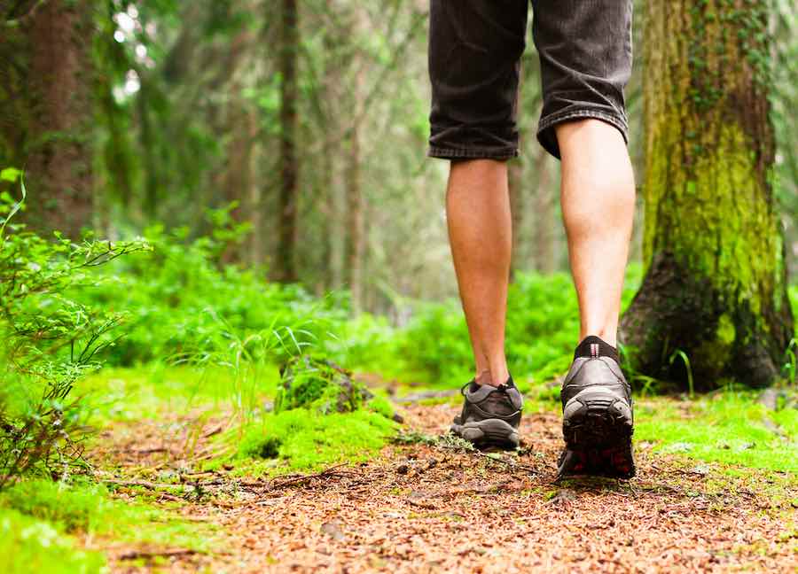 Man Hiking in Minnesota Woods