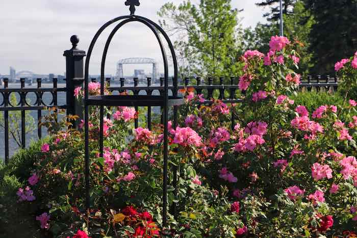 Duluth Rose Garden