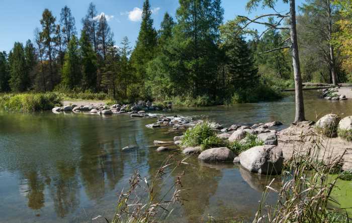 Lake Itasca where the headwaters of the Mississippi River begin. 