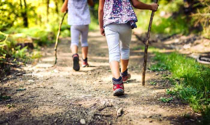Hikers on nature trail
