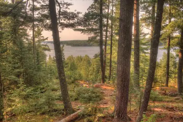 BWCA in Voyagers National Park