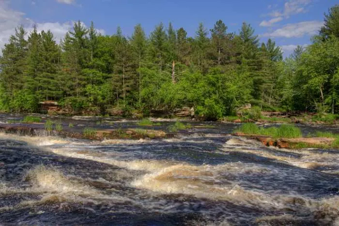 Fast-moving river along pine tree shorline.