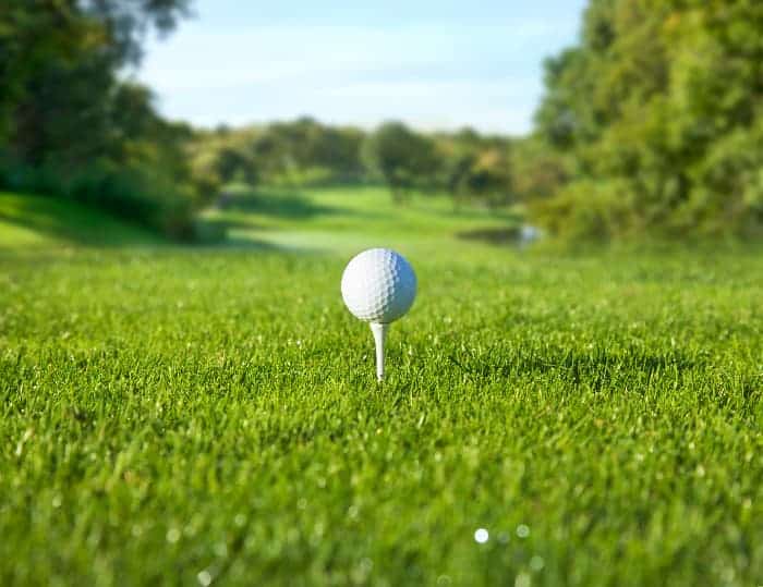 16 of the Best Golf Courses in Minnesota https://www.lifeinminnesota.com/best-golf-courses-in-minnesota-2/