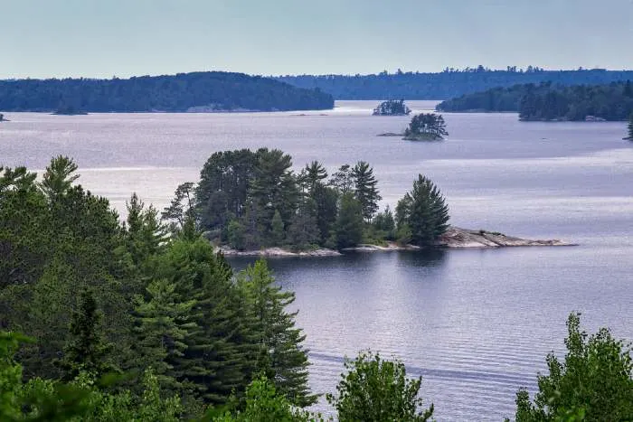 Shoreline of lake in MN