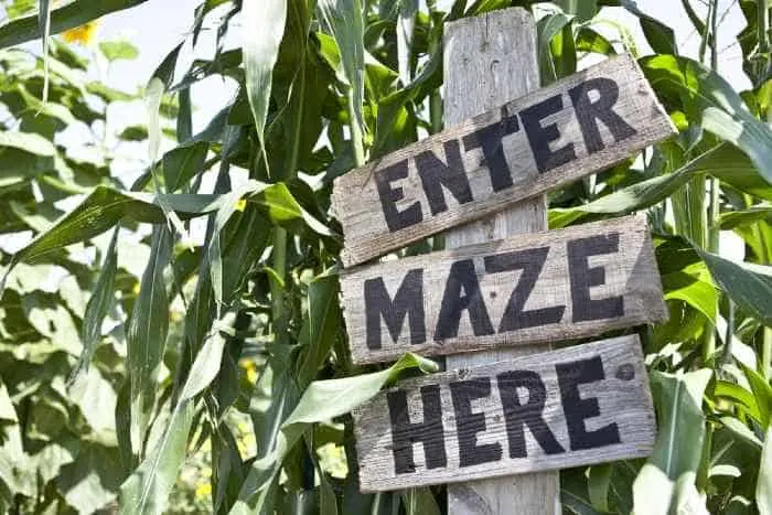 Corn maze sign in corn maze.