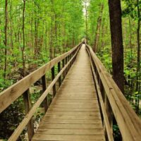 Voyageurs National Park