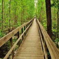 Voyageurs National Park