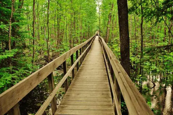 Voyageurs National Park