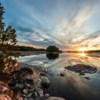 Trees and lake in Voyageurs National Park