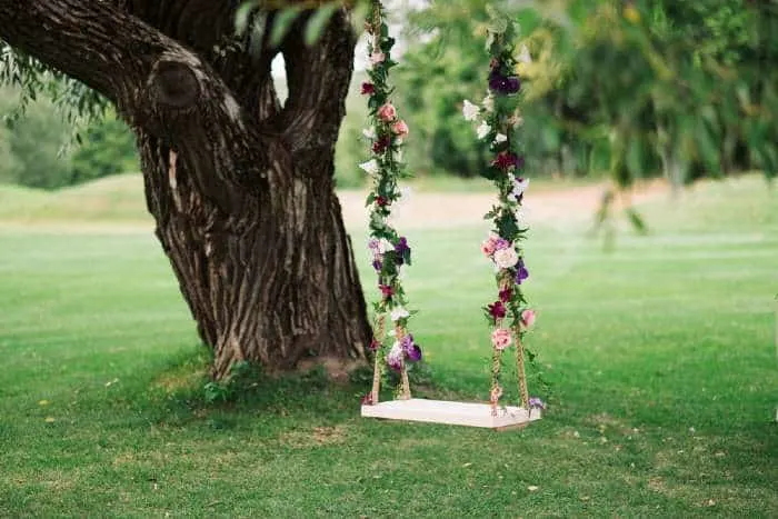 Old willow tree with a swing