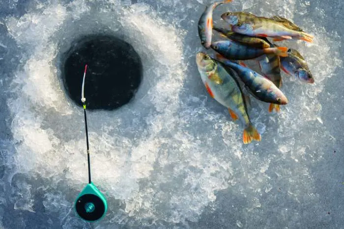 Ice fishing pole and fish on frozen lake