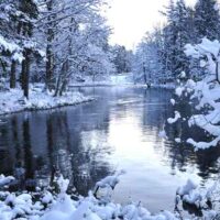 Lake in winter forest