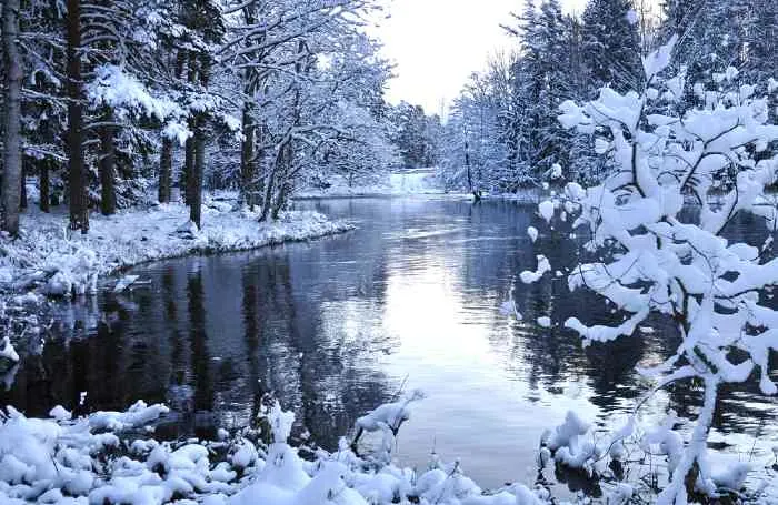 Lake in winter with snow