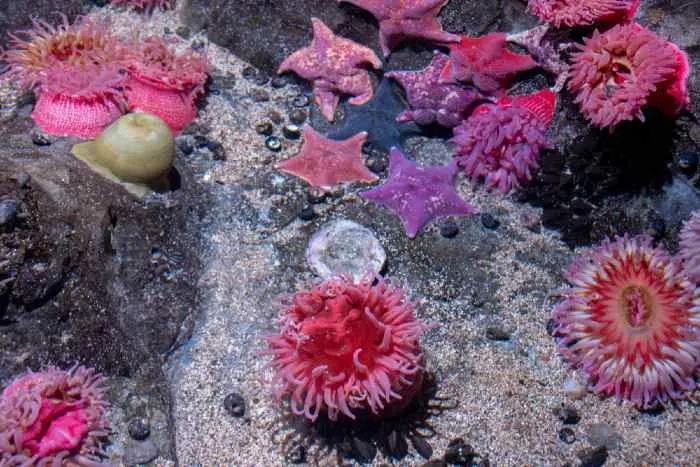 Explore underwater adventures at one of the best things to do in Bloomington, Minnesota