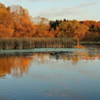 Autumn Colors on Medicine Lake in Plymouth, Minnesota